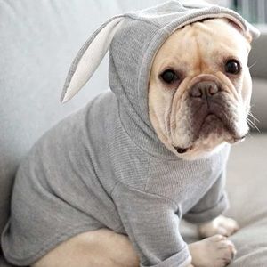 NEW ✨ Rabbit Ear Pet Costume